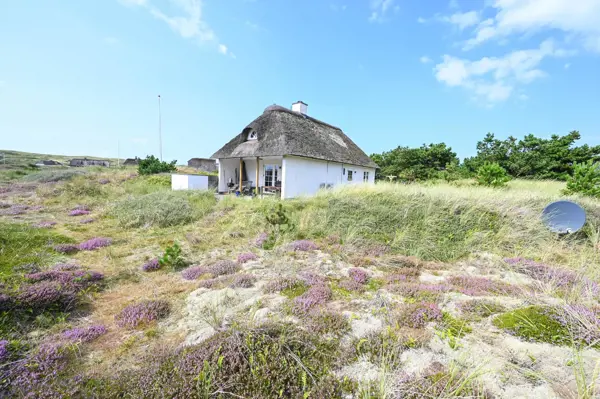 Ferienhaus 1003 in Vedersø Klit / Ulfborg