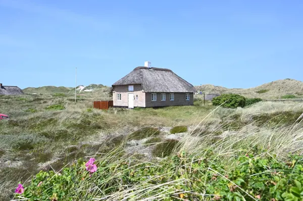 Ferienhaus 1006 in Vedersø Klit / Ulfborg