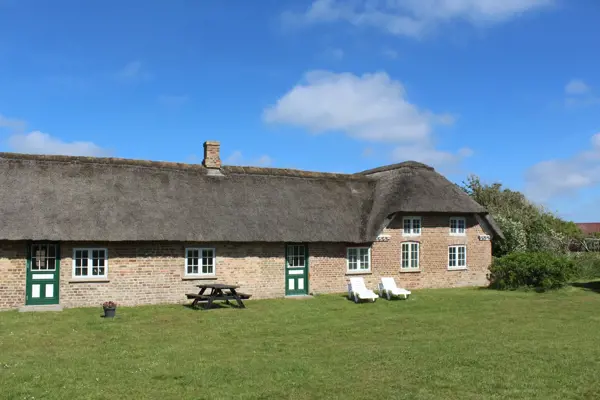 Ferienhaus 1011 in Vedersø Klit / Ulfborg