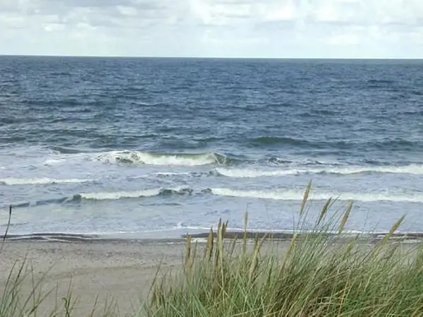 Bild 20 von 21