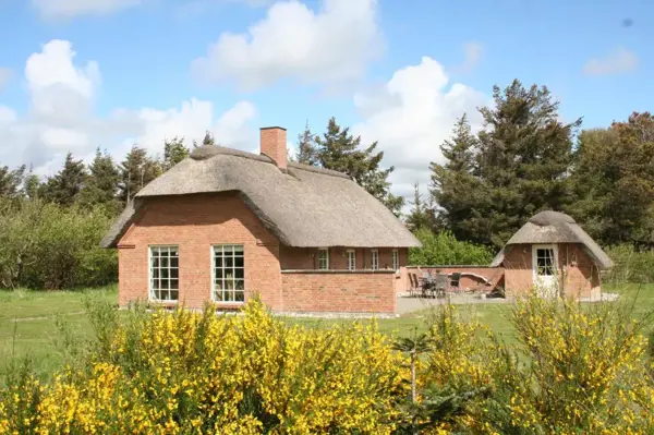 Ferienhaus 1007 in Vedersø Klit / Ulfborg