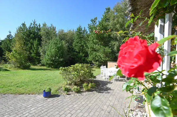 Bild 23 von 36