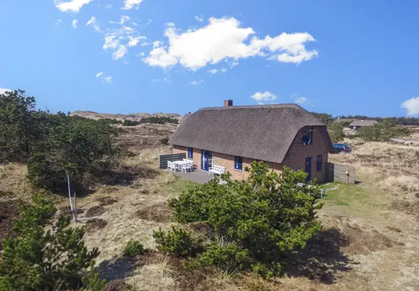 Ferienhaus 2059 in Vester Husby / Ulfborg