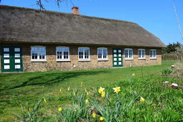 Ferienhaus 1019 in Vedersø Klit / Ulfborg