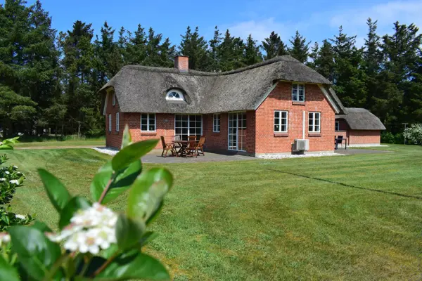 Ferienhaus 1048 in Vedersø Klit / Ulfborg