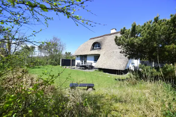 Ferienhaus 1017 in Vedersø Klit / Ulfborg