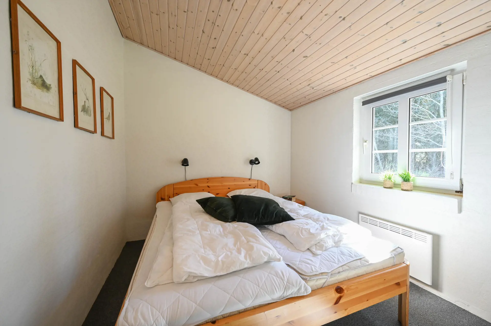 Bild 20 von 29