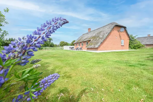 Ferienhaus 1055 in Vedersø Klit / Ulfborg