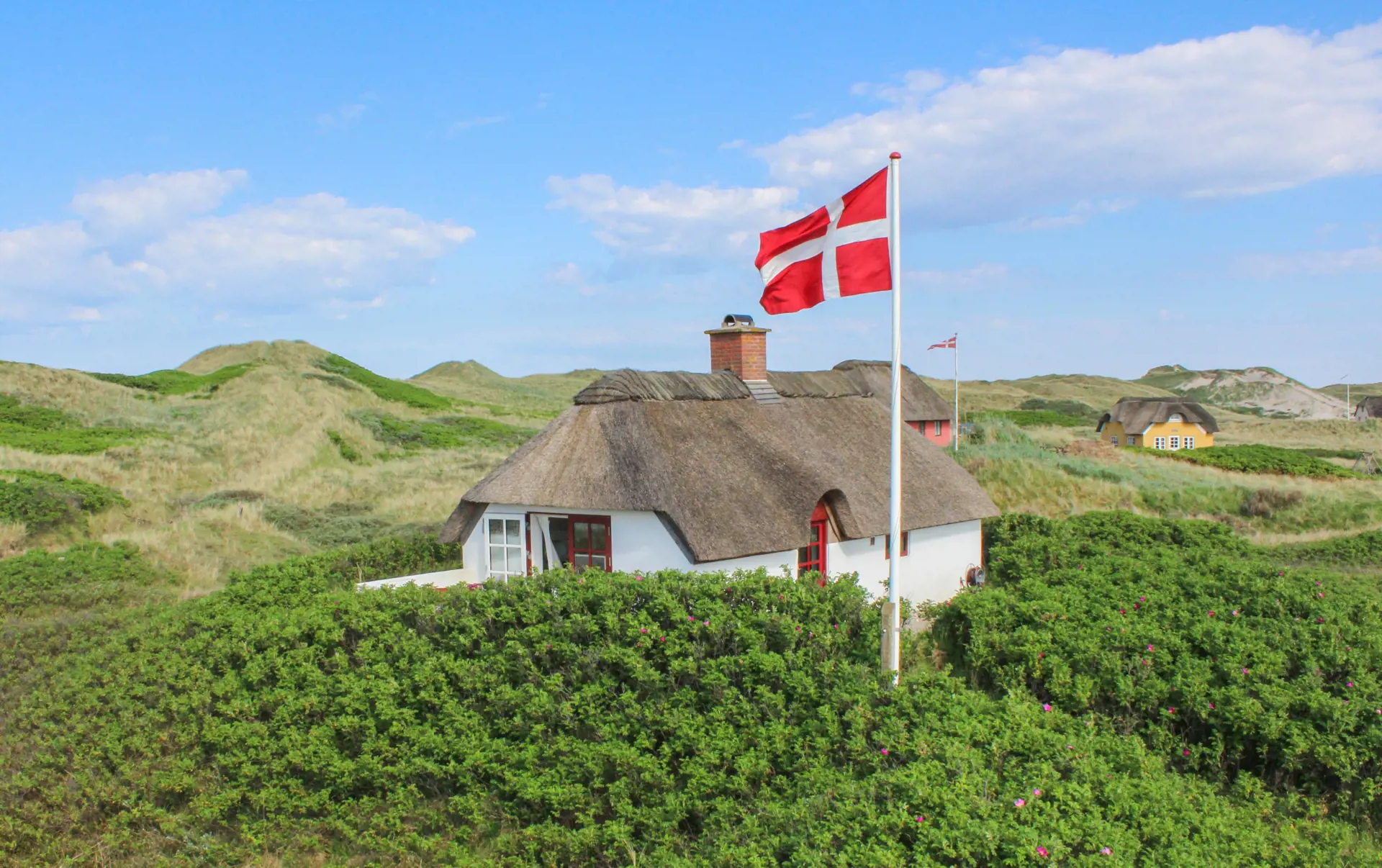 Ferienhaus 1002 in Vedersø Klit / Ulfborg