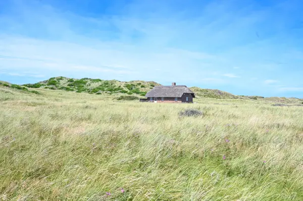 Ferienhaus 2074 in Vester Husby / Ulfborg