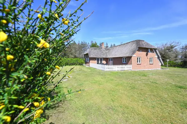 Ferienhaus 1023 in Vedersø Klit / Ulfborg