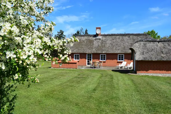 Ferienhaus 2082 in Vester Husby / Ulfborg