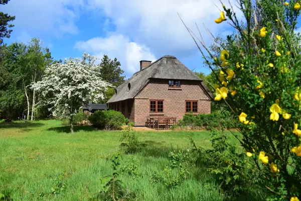 Ferienhaus 2090 in Vester Husby / Ulfborg