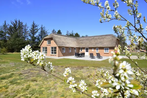 Ferienhaus 2100 in Vester Husby / Ulfborg