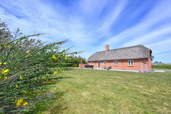 Ferienhaus 1033 in Vedersø Klit / Ulfborg
