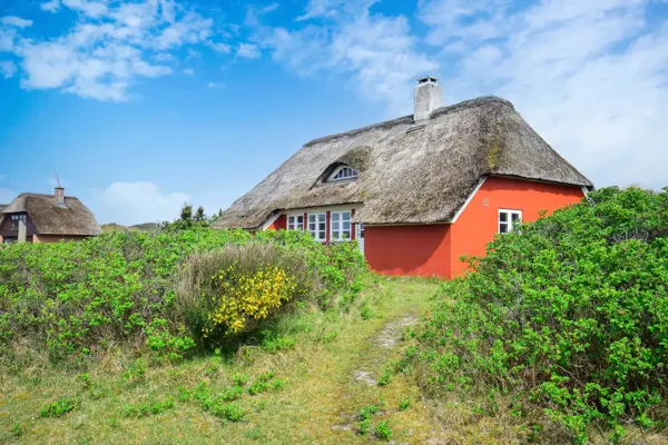 Ferienhaus 1084 in Vedersø Klit / Ulfborg