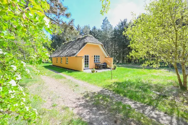 Ferienhaus 2071 in Vester Husby / Ulfborg
