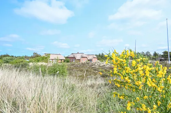 Ferienhaus 2128 in Kjærgaardvej 71, Vester Husby | Bild 42 von 58