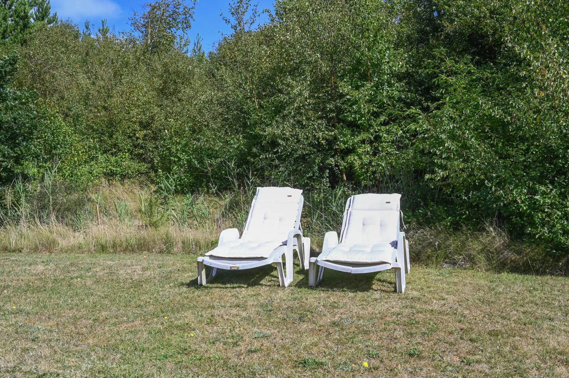 Bild 39 von 46