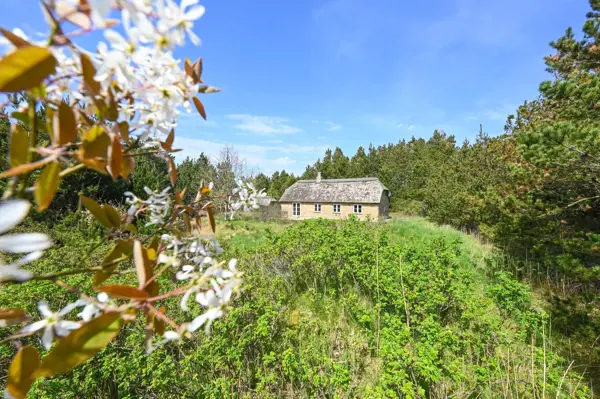 Ferienhaus 2040 in Vester Husby / Ulfborg