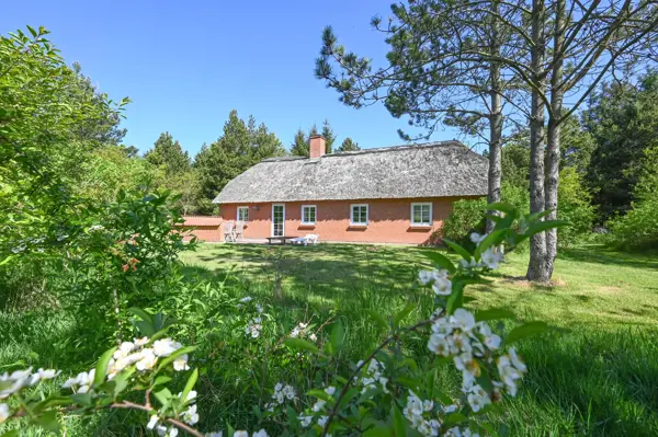 Ferienhaus 2041 in Vester Husby / Ulfborg
