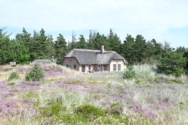 Ferienhaus 2055 in Vester Husby / Ulfborg