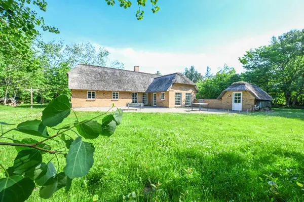 Ferienhaus 2052 in Vester Husby / Ulfborg