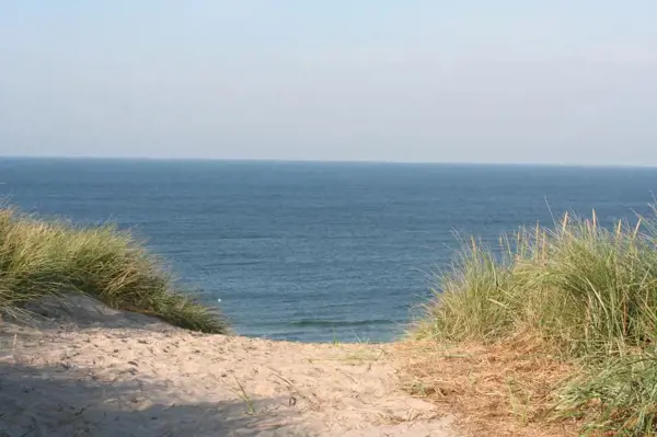 Bild 38 von 38