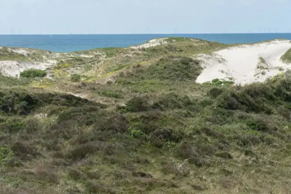 Bild 43 von 49