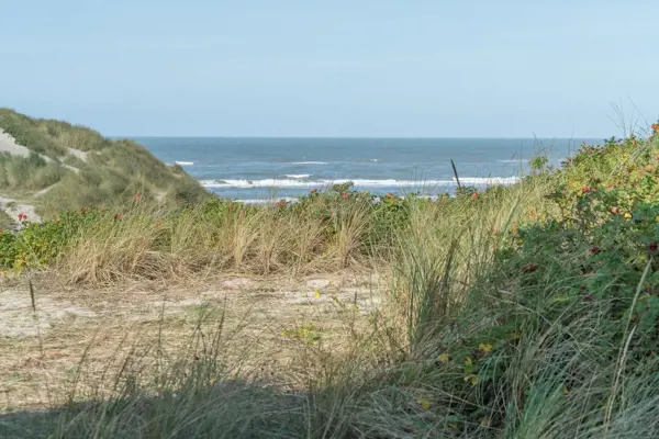 Bild 32 von 40
