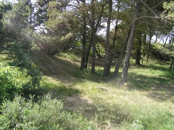 Bild 34 von 39