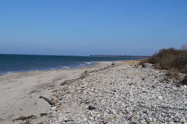 Bild 16 von 16