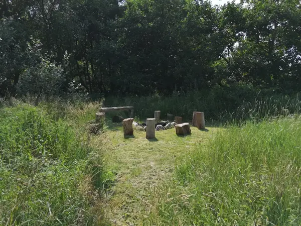 Bild 12 von 16