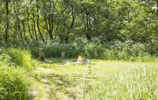 Bild 20 von 23