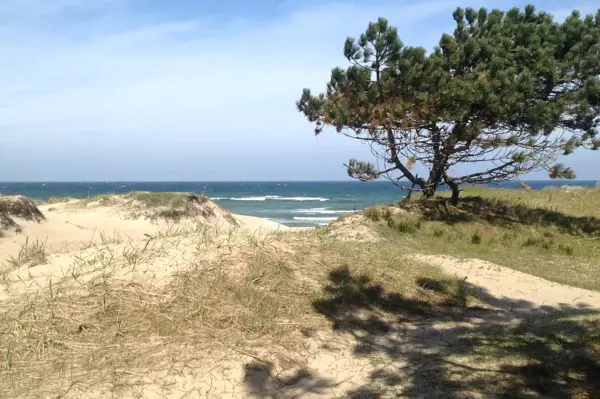 Bild 25 von 27