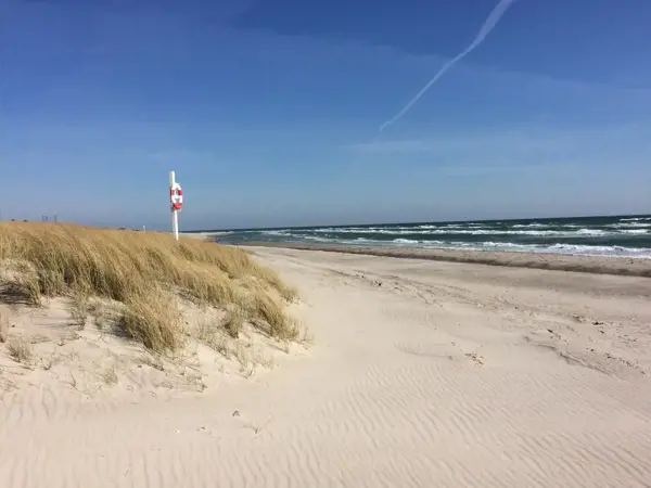 Bild 32 von 32
