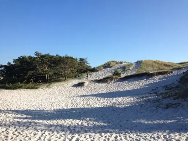 Bild 27 von 30