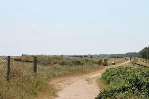 Bild 29 von 30