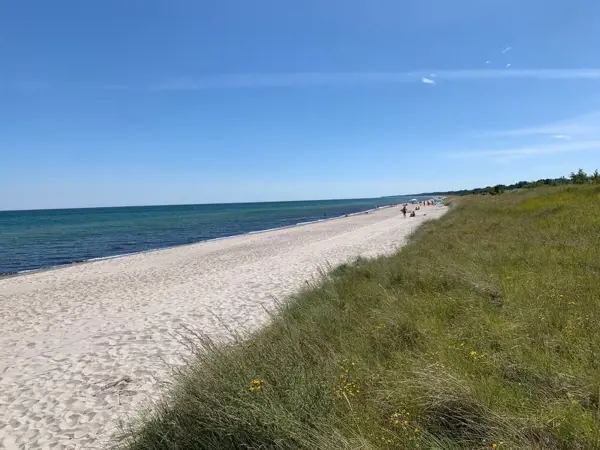 Bild 29 von 31
