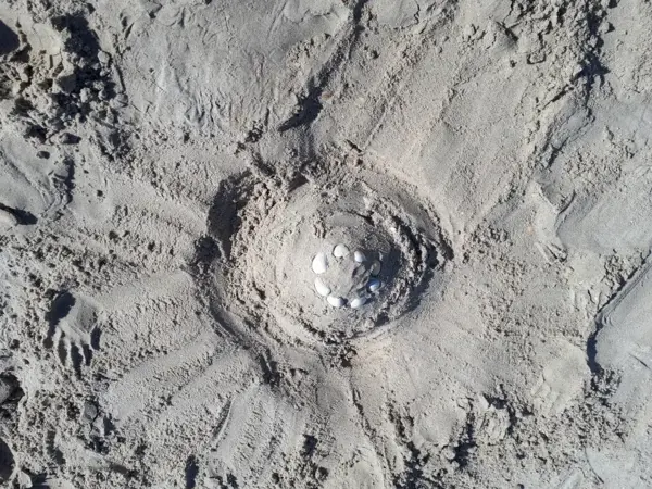Bild 28 von 30