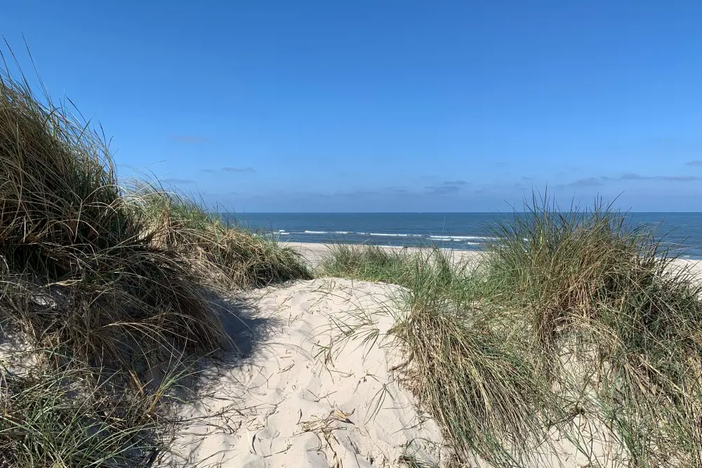 Bild 26 von 26
