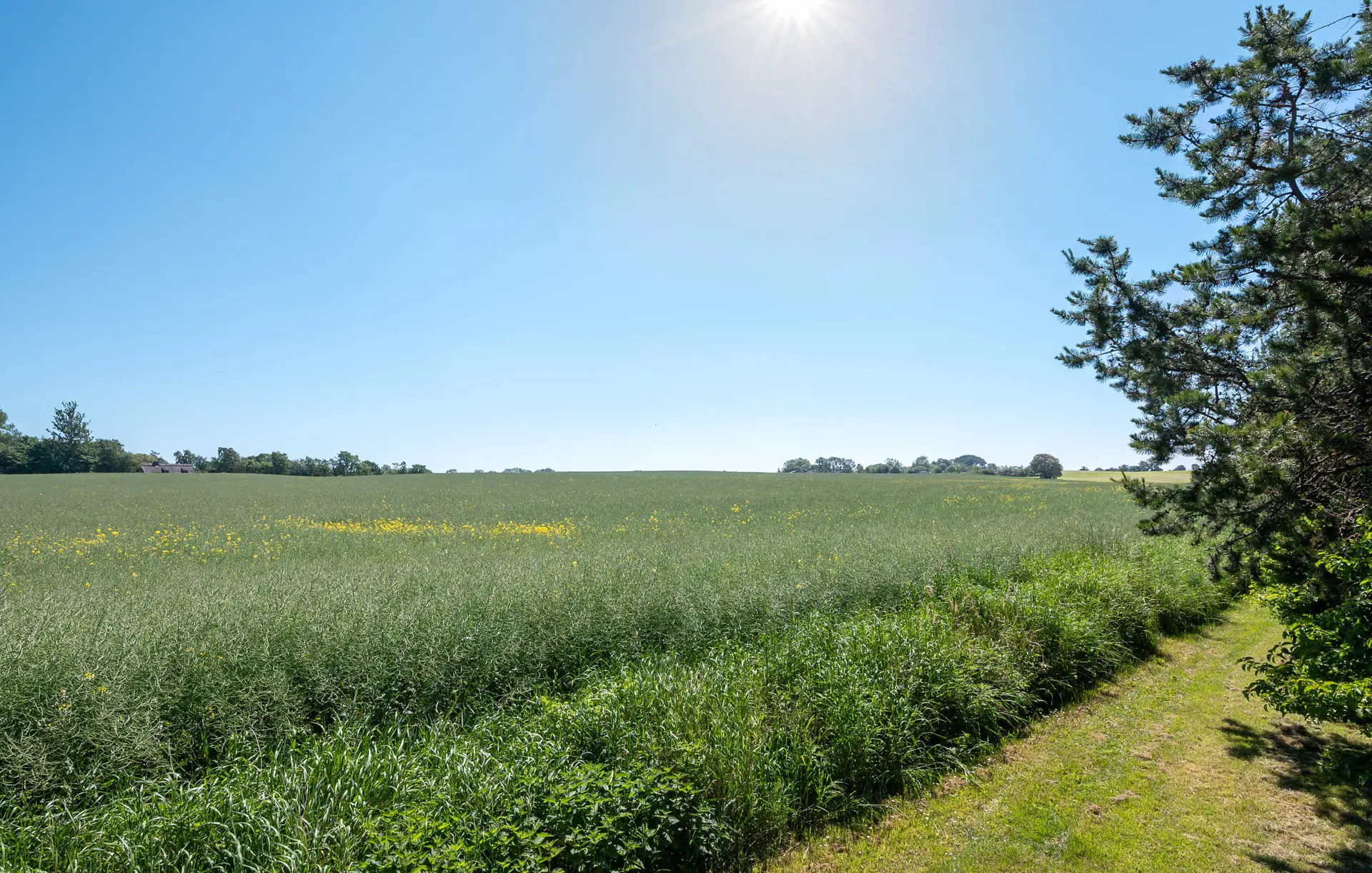 Bild 18 von 20