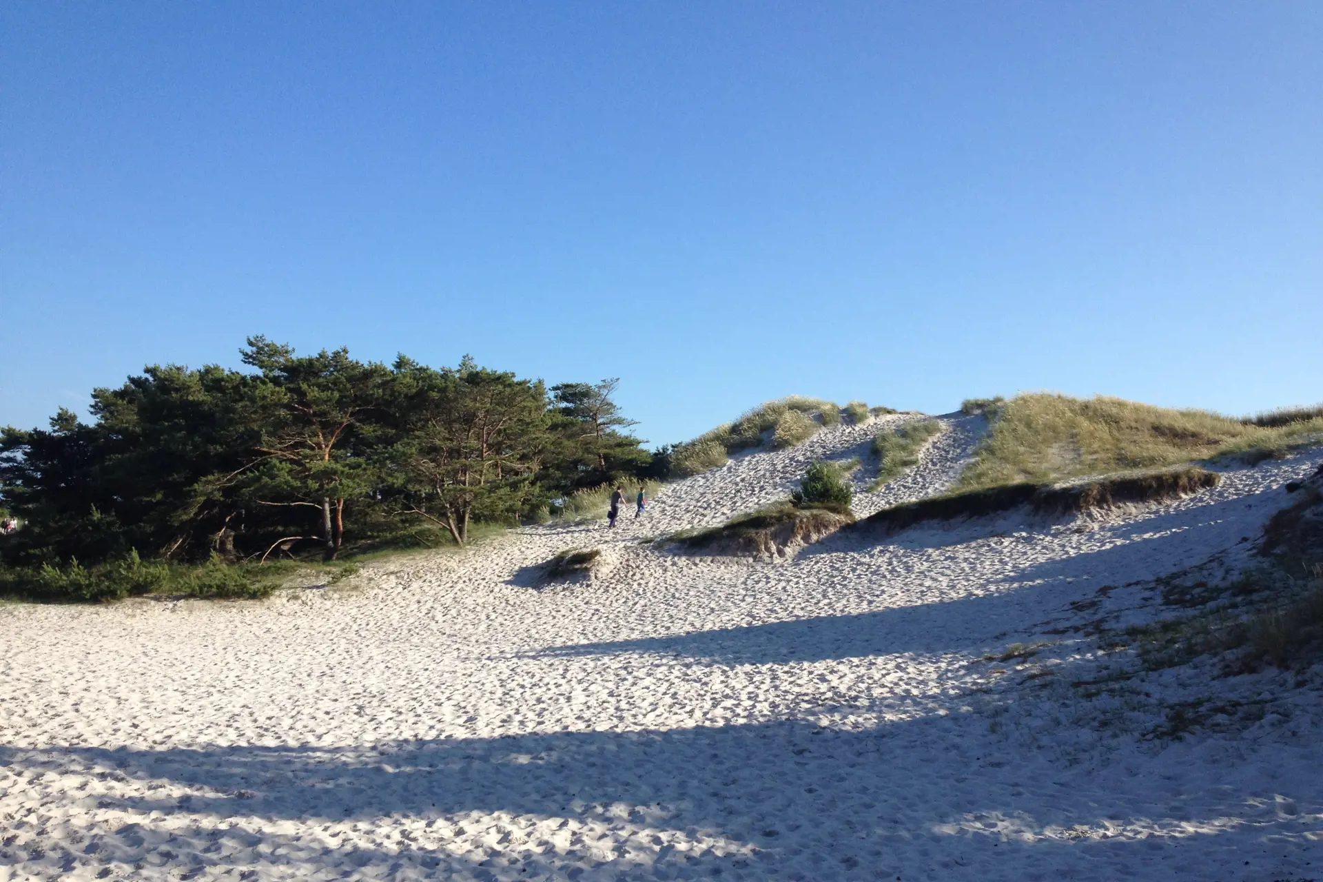Bild 19 von 21