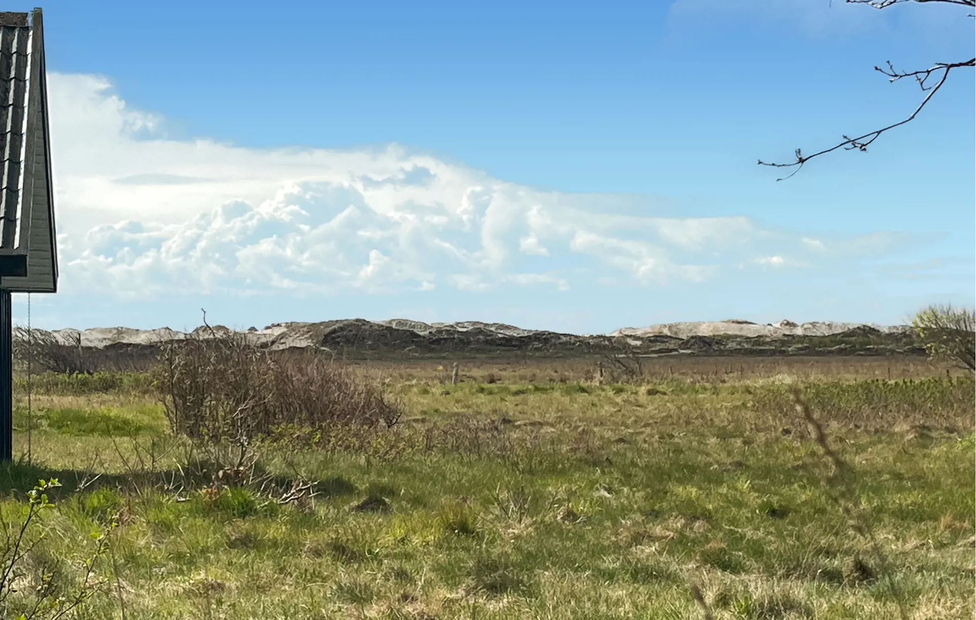 Bild 8 von 17
