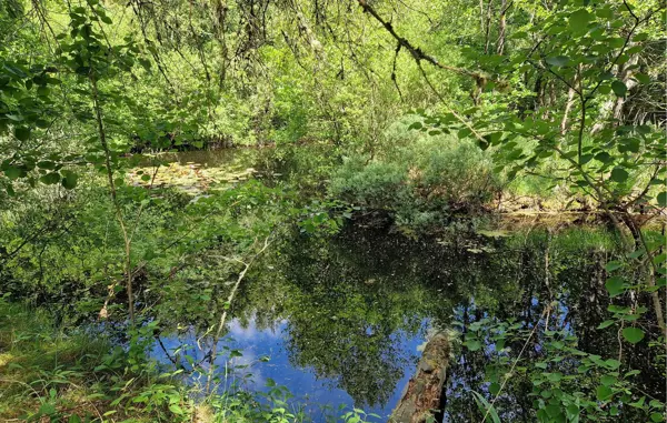 Bild 12 von 18