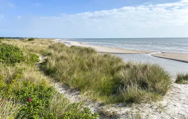 Bild 29 von 29
