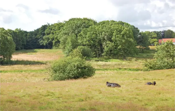 Bild 15 von 19