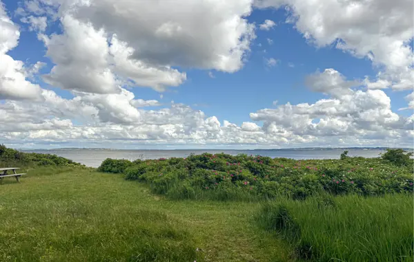 Bild 16 von 18
