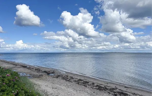 Bild 17 von 18