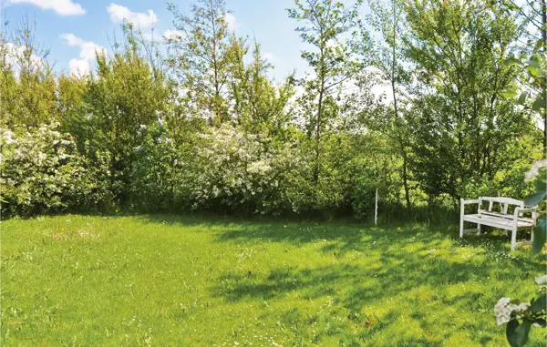 Bild 8 von 17